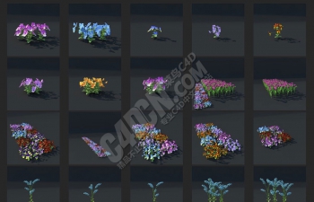 超多写实CINEMA4D花朵小草树木植物模型包下载