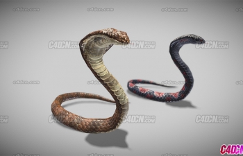 C4D߹ضģ Snake attack Animations