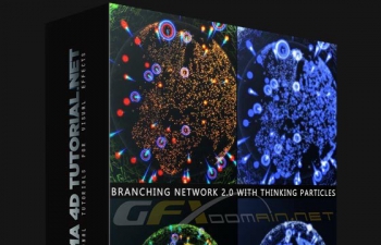 Branching Network 2.0 With TP