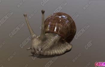 дʵ԰ţСģ Basical Snail