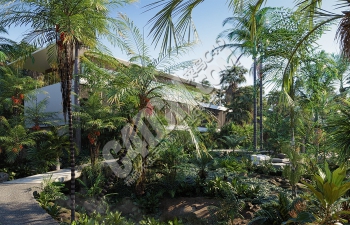 15套常見熱帶植物棕櫚樹景觀樹植物模型合集下載