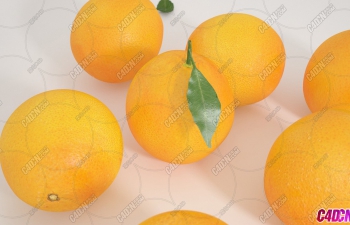 ˮģ Oranges Fruit model