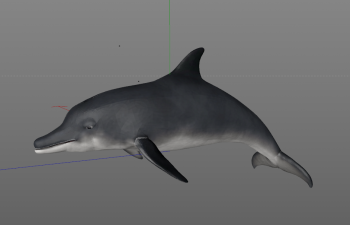 C4Dģ dolphin