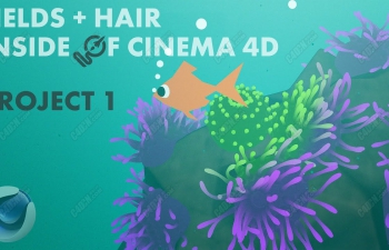 C4D̳-򳡺ëóѧ Fields + Hair Cinema 4D Tutorial