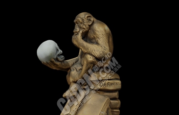 C4D思考雕塑模型-猩猩和人类头骨