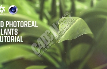 C4D+Octane Render创建逼真超写实植物叶子材质渲染教程