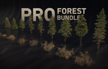 ɭֲݵֲģͰ PRO Forest Bundle