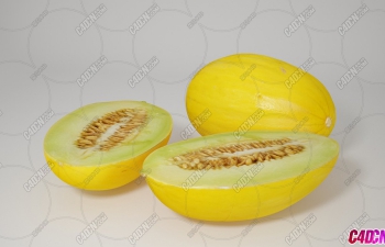 ܹˮģ Honeydew Melon Fruit model