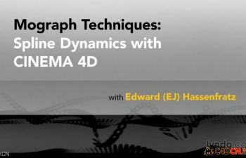 C4Dѧ̳ Mograph Techniques: Spline Dynamics with CINEMA 4D