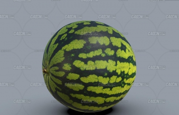 C4Dдʵļɿˮģ Watermelon