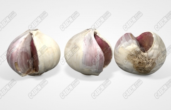 C4D߲ģ onion vegetable model