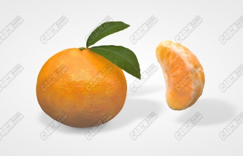 C4DӽӰˮʳģ Orange