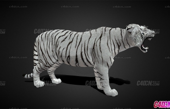 Blender׻ϻҰģ(󶨶)  White Tiger