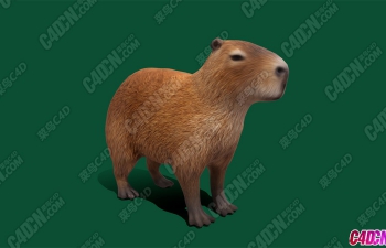 ˮСģ Capybara Low Poly