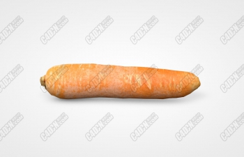 C4Dɺܲģ semi-dried carrot model