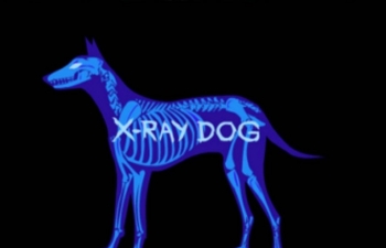 X-ray Dog Music乷ʷʫרƬزϵ1--52