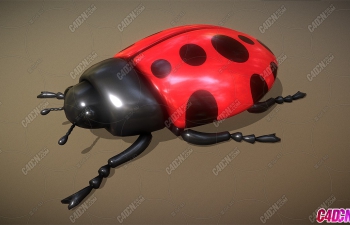 ɫɰưģ Ladybug