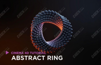 C4DĪ˹СתЧ̳̺ļ Abstract Ring
