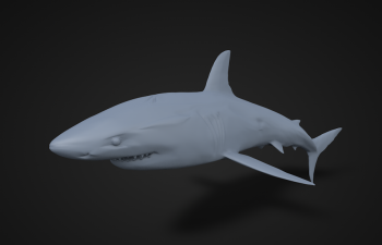 鲨鱼模型Bruce