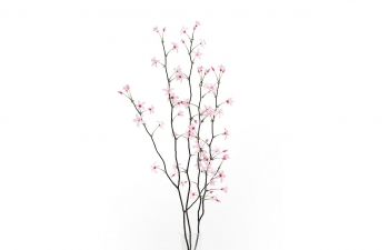 C4Dƿ֦ģ Flowering Tree Twigs in Glass Vase