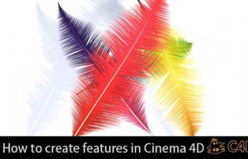 C4D羽毛制作教程How to create features in Cinema 4D