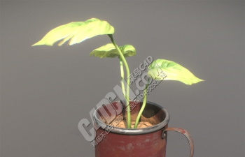 C4D种在茶缸里的三片叶子植物模型