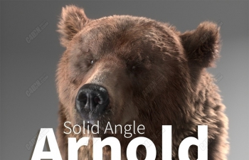 C4D Arnold3.2.1版本渲染器下载