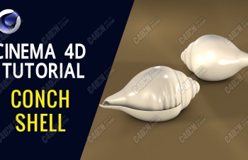 Cinema 4DݿǽģȾ̳-Conch Shell Model - Cinema 4D Tu