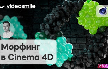 Cinema 4D R26ӱν̳(RedshiftȾ)