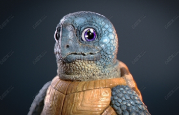 Zbrush雕刻杰尼龟宠物精灵动物建模材质教程
