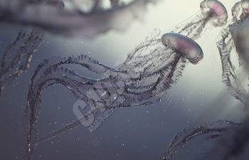 C4D写实水母建模材质渲染教程