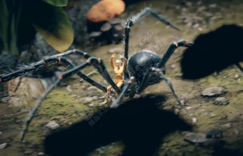 Octane渲染器超写实黑寡妇蜘蛛建模雕刻纹理骨骼绑定动画渲染教程