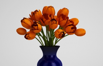 C4D模型 橙色郁金香花朵模型 蓝色花瓶