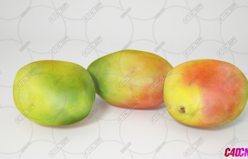 âˮģ Mangos Fruit model