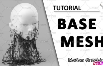 C4D̬˶ͼν̳ Base Mesh Motion Graphics