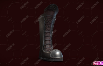ͽʿƤѥЬģ Leather Boots