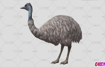 C4D·󶨶ģ Emu animation