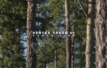 C4D高精度写实绿树植物模型素材合集包 Vertex Trees