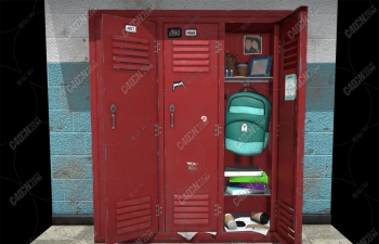 C4DƾɵѧУģ Worn School Lockers