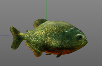 食人鱼C4D模型 piranha