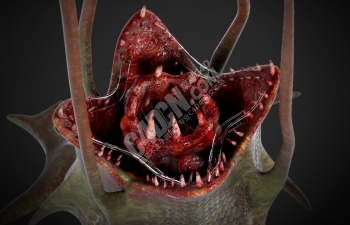 C4D血盆大口吃人怪物植物模型