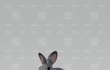C4DӶģ Gray rabbit animal model