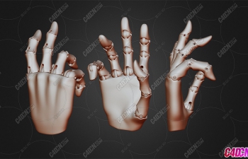 Blenderеֻ˻еģ jointed hands