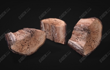 дʵ׮C4Dģ Realistic of a trunk stump s