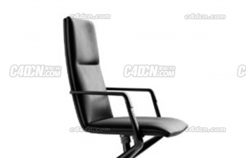 ƹɫC4Dģ conference chair sola 291 matt