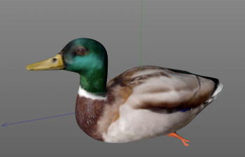 ѼC4Dģ duck