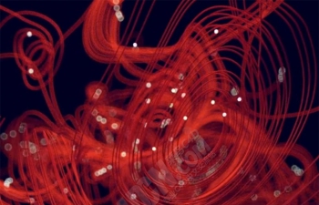 C4D+X-Particles+OC渲染器红色粒子线条生长动画工程