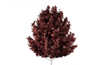 C4Dɫ߹Ҷľģ  red high crown broadleaf tree model