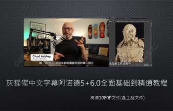 灰猩猩中文字幕阿诺德5+6.0全面基础到精通教程