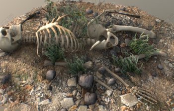 C4D草丛废墟中的骷髅枯骨场景模型